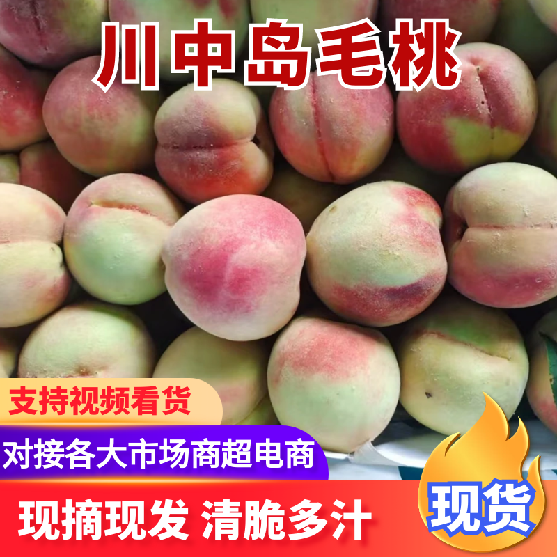 川中岛红毛桃山东毛桃品质优等对接全国市场电商商超