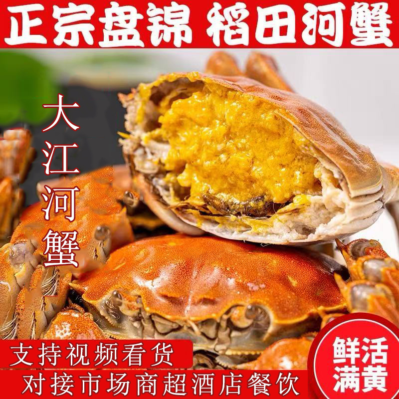 【盘锦河蟹】稻田直发多规格肉质饱满死蟹包赔