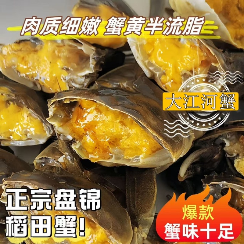 【盘锦河蟹】稻田直发多规格肉质饱满死蟹包赔