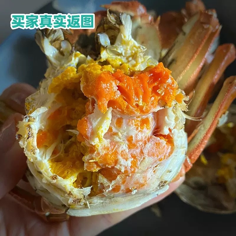 【盘锦河蟹】稻田直发多规格肉质饱满死蟹包赔