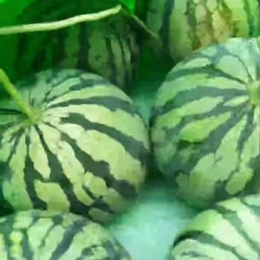 美都