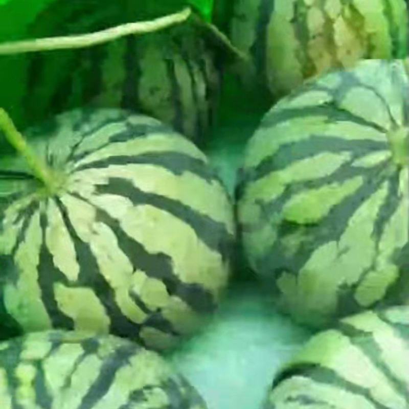 美都