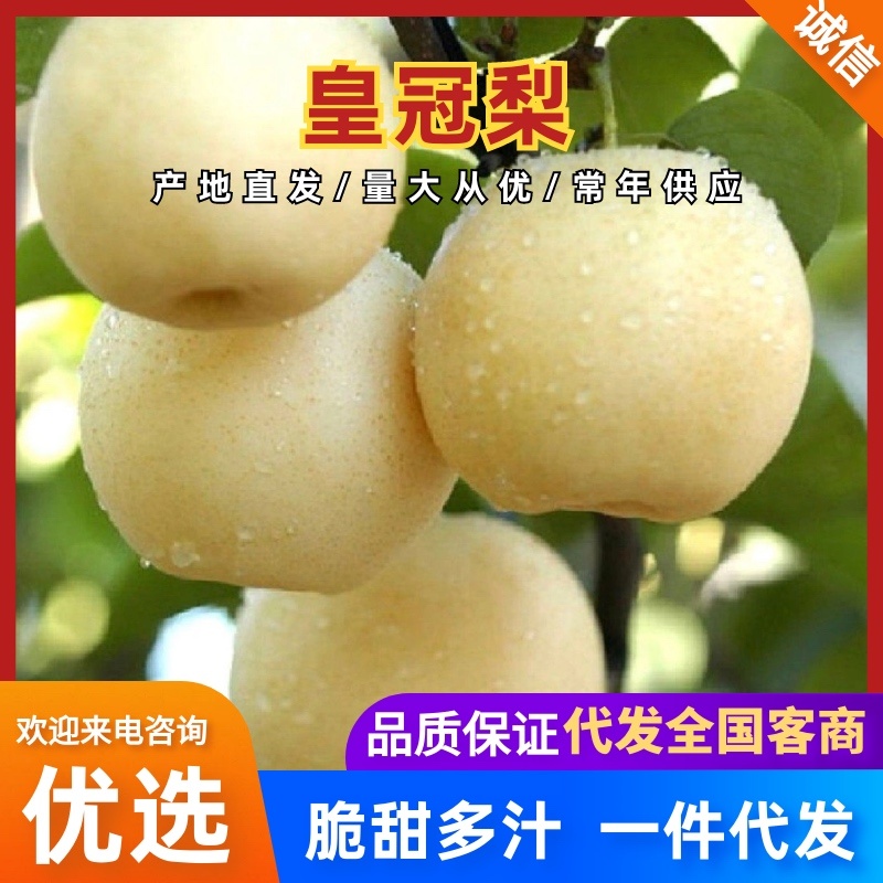 【一件代发】皇冠梨电商微商小美果园芭芭果园一件代发