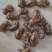 蝉蜕知了壳鲁菏舜中药材批发