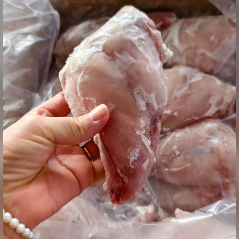 兔后腿