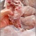 兔后腿