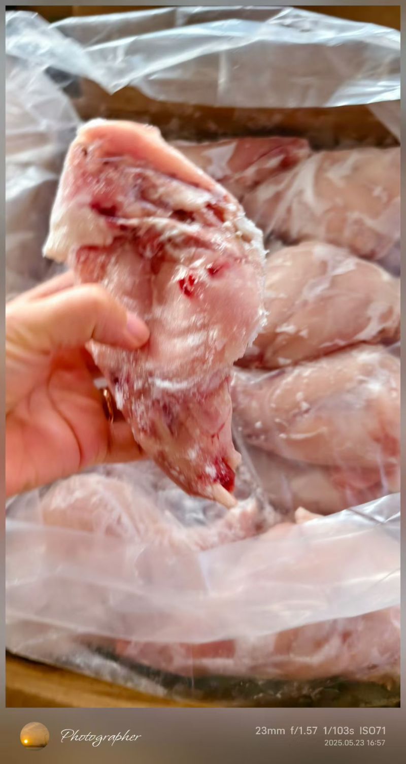 兔后腿