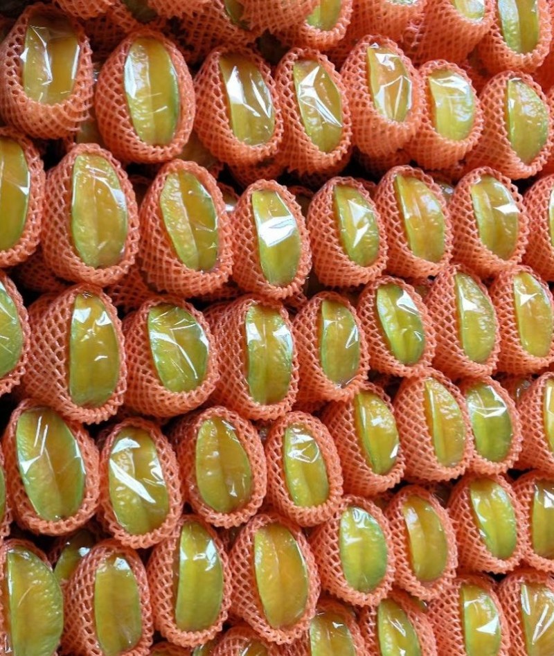 杨桃