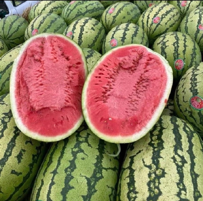 宁夏西瓜石缝瓜沙地瓜