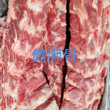 肩胛骨
