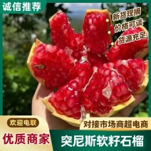 四川石榴/突尼斯软籽石榴/产地直供/大量上市对接全国