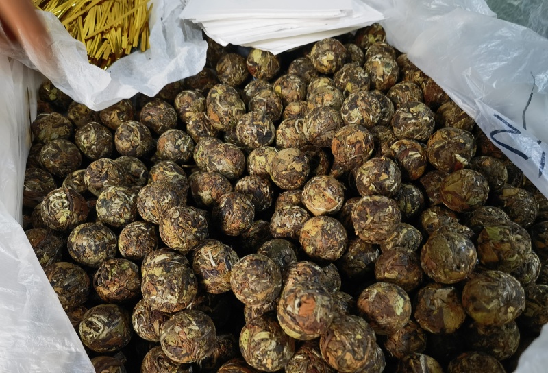 云南勐海普洱茶