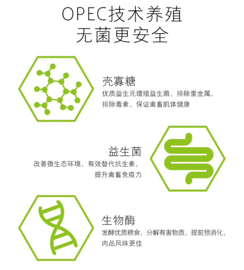 白条鸡，独立真空包装，公鸡，厂家直销欢迎各位老板咨询采购