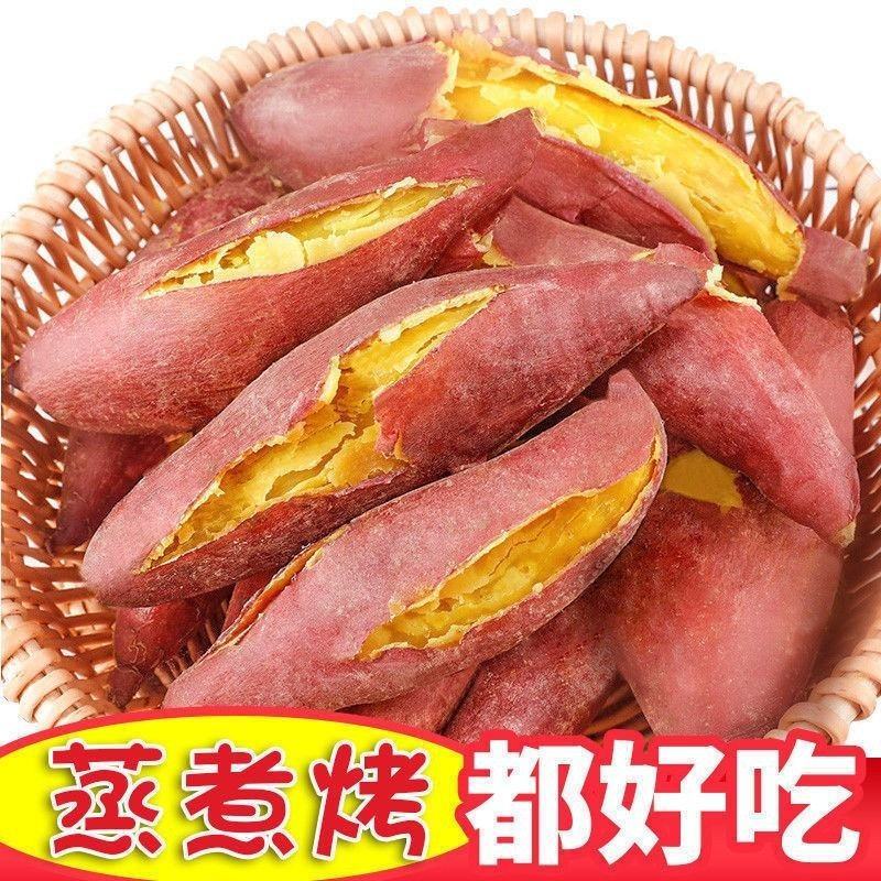 济薯\板栗薯\山东济宁板栗薯济薯26产地直发