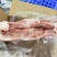 肥猪后腿骨