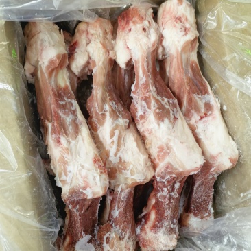 肥猪后腿骨
