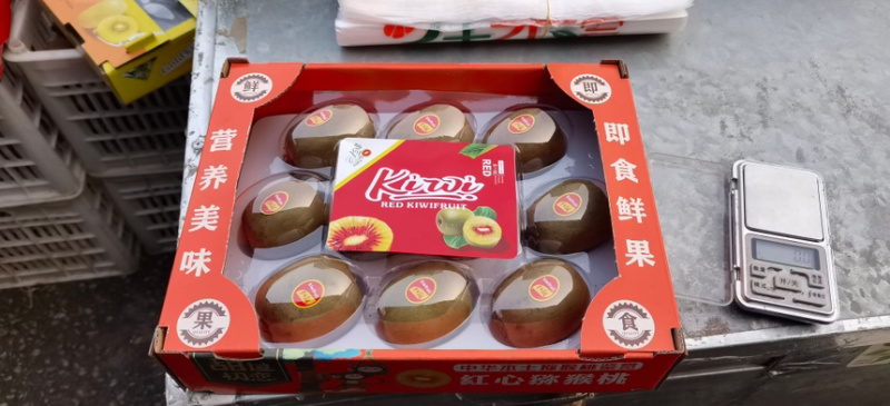 陕西周至纯甜瑞玉猕猴桃一件代发团购落地配上市了