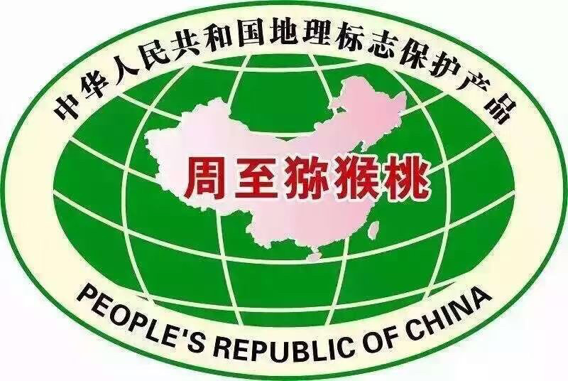陕西周至纯甜瑞玉猕猴桃一件代发团购落地配上市了