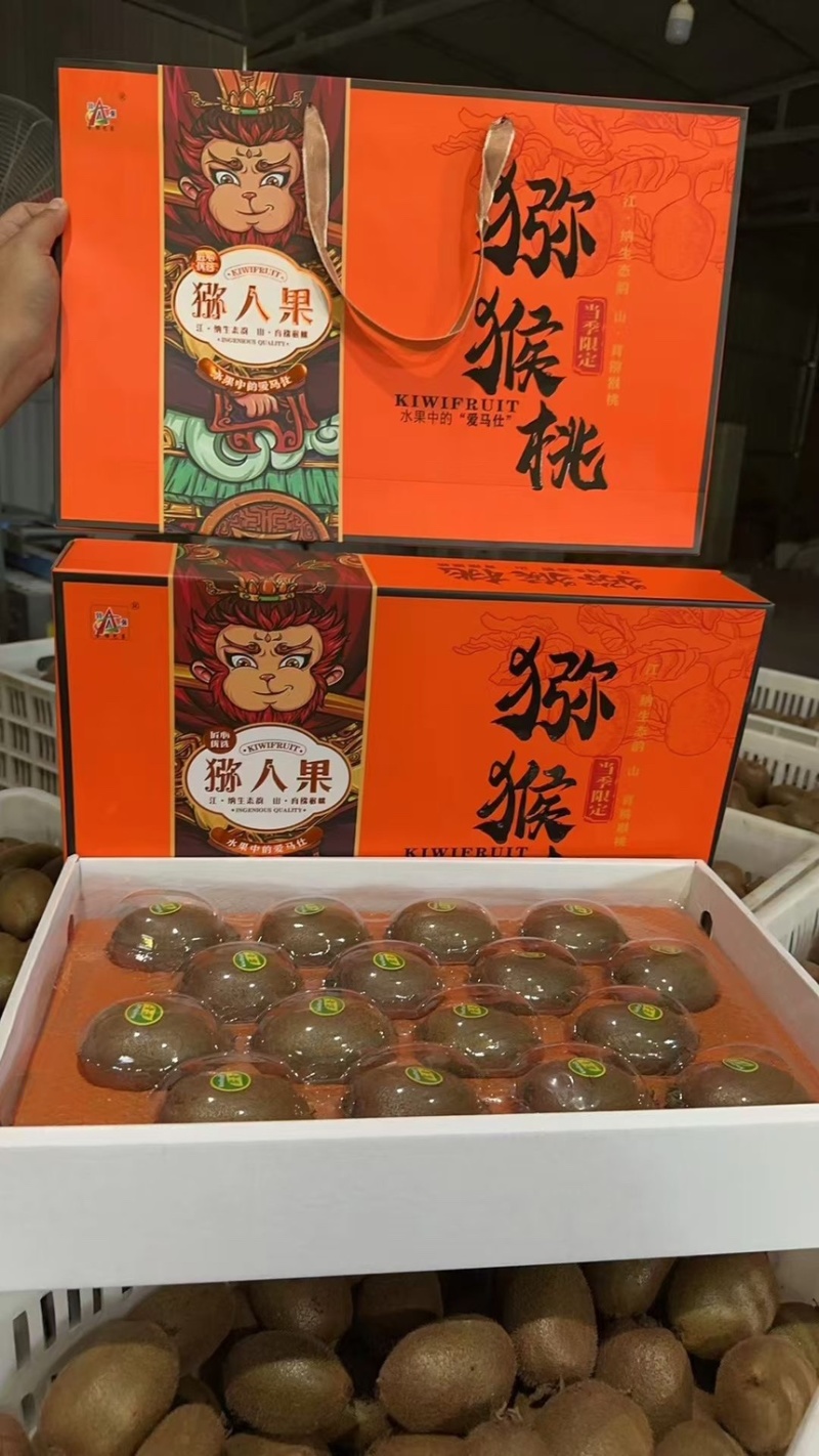 陕西周至纯甜瑞玉猕猴桃一件代发团购落地配上市了