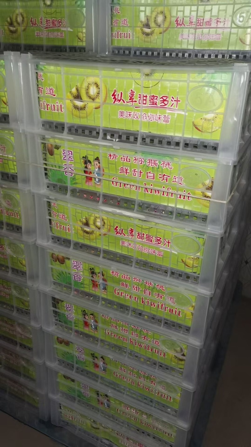 陕西周至纯甜瑞玉猕猴桃一件代发团购落地配上市了