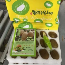 翠香猕猴桃一件代发对接各大平台，可实地考察
