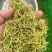 金银花中药材欢迎各位老板来电咨询订购