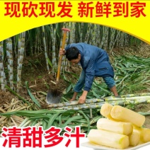 青皮甘蔗大量批发新鲜水果薄皮多汁又脆又甜