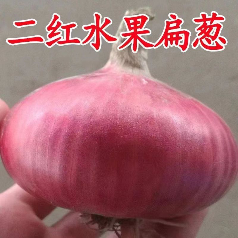 山东二红洋葱