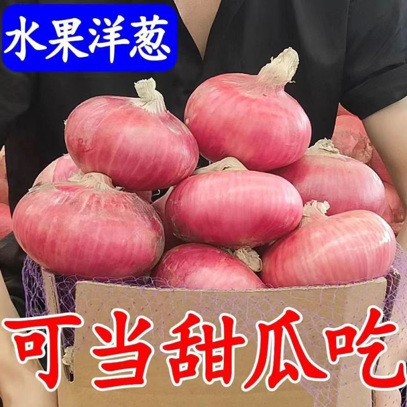 山东二红洋葱