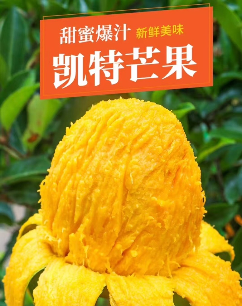 凯特芒，产地直发，大量有货，欢迎各位老板咨询采购