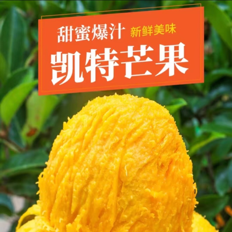凯特芒，产地直发，大量有货，欢迎各位老板咨询采购