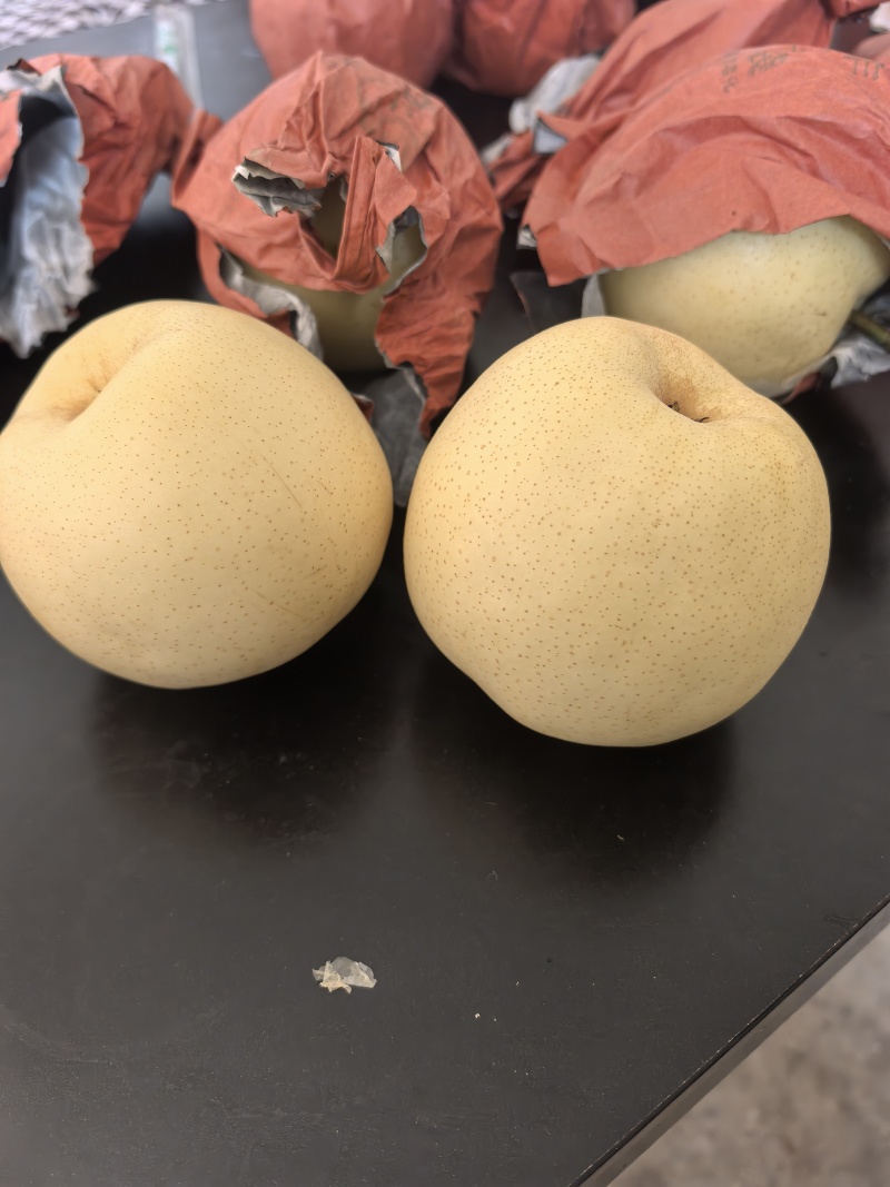 黄金梨