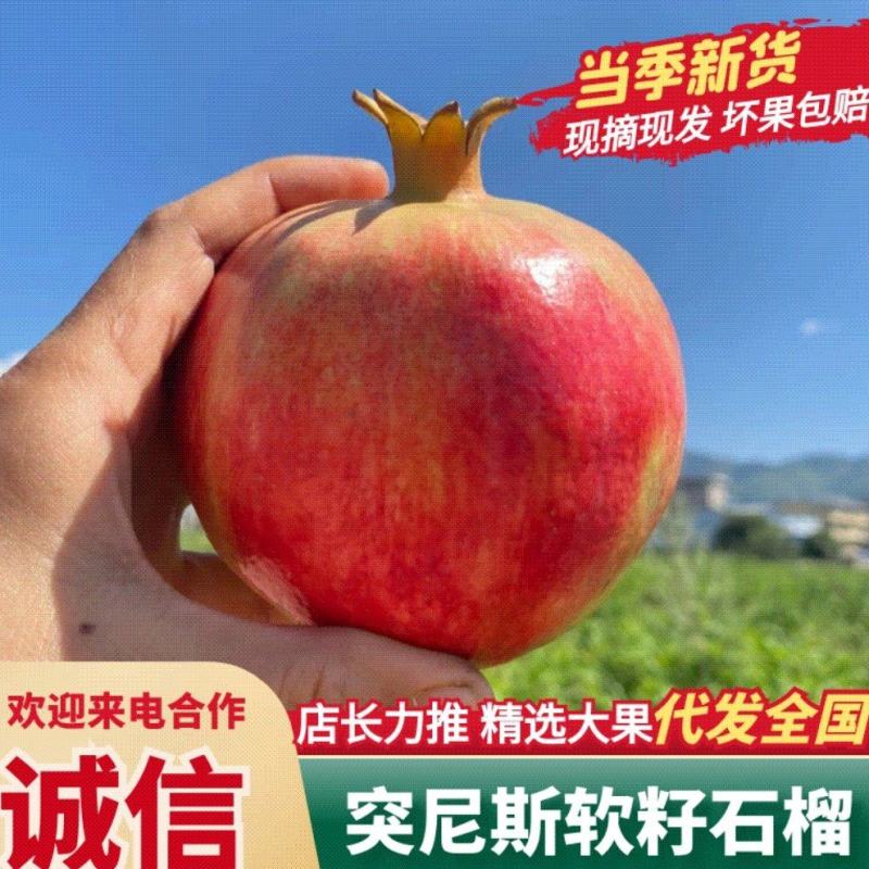 四川会理软籽石榴货源充足看园订货场地收货一件代发