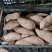 精品红薯龙九红薯一手货源量大从优价格美丽