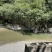 原生态