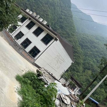 原生态
