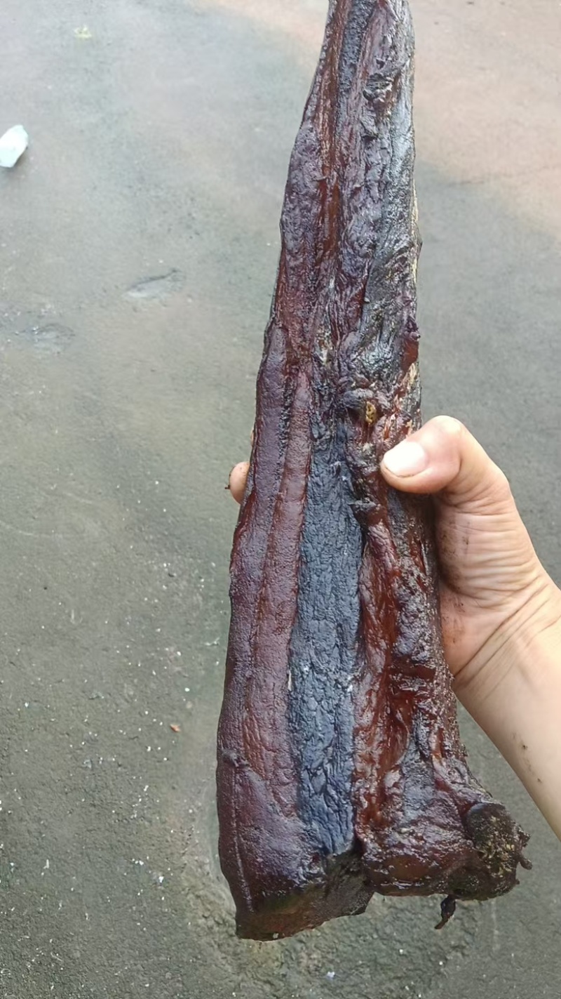 精品五花腊肉大量供应自产自销，一手货源，量大从优