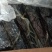 精品五花腊肉大量供应自产自销，一手货源，量大从优