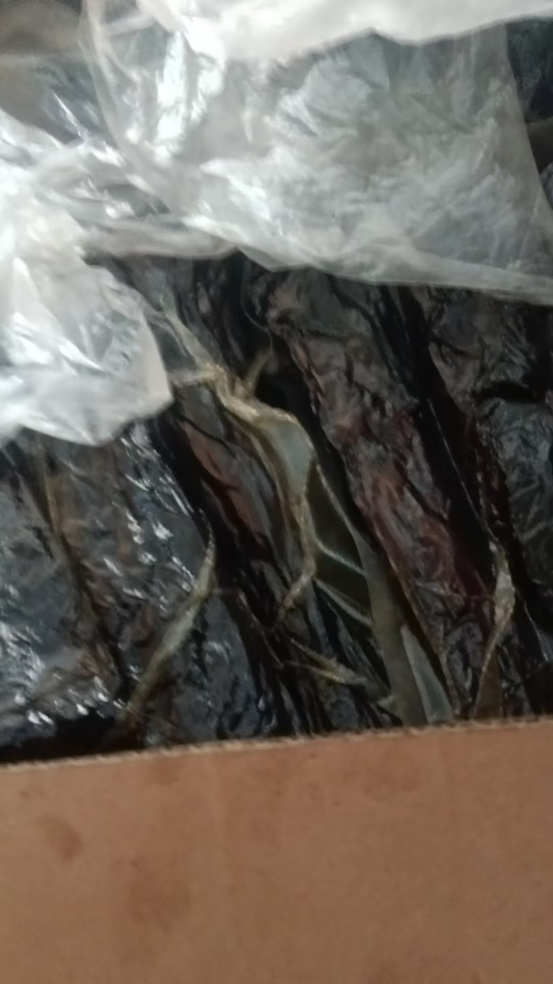 精品五花腊肉大量供应自产自销，一手货源，量大从优