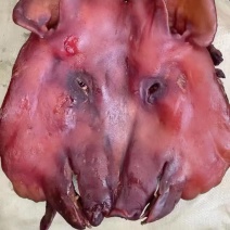 猪脸，腊猪脸，湖南农家供应，自产自销，量大从优新鲜货