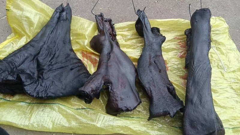 猪脸，腊猪脸，湖南农家供应，自产自销，量大从优新鲜货