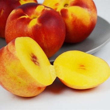 新疆，中油桃8号，油桃🍑