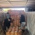精品，陕西胡萝卜三红胡萝卜大量供应，货源充足，量大从优