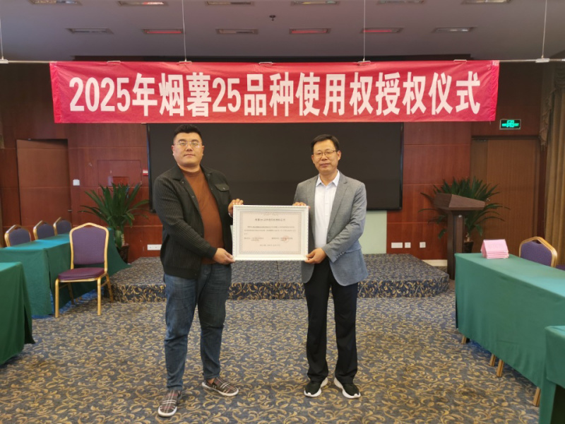【社区团购网兜装】山东烟台烟薯25香甜流油源头实力供应商