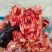 腹肉条大量有货保质保量产地直销全国通发