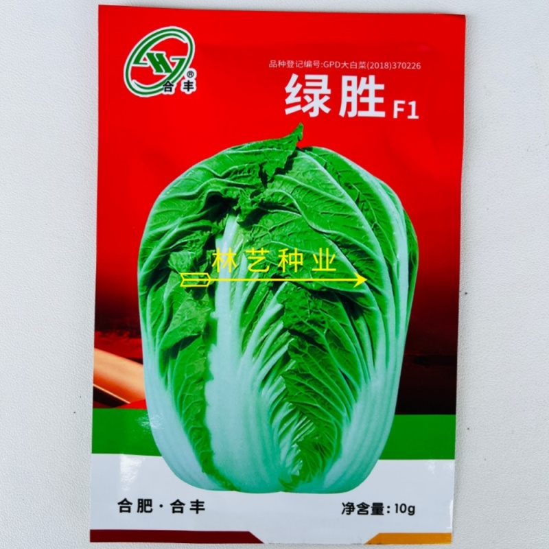 绿胜大白菜种子浅绿帮高产抗病耐贮耐运新上市冬储好吃菜蔬菜
