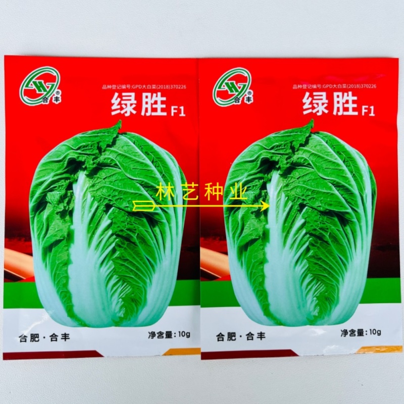 绿胜大白菜种子浅绿帮高产抗病耐贮耐运新上市冬储好吃菜蔬菜