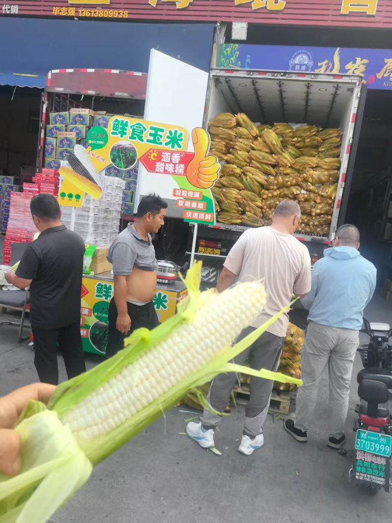 市面上**端的鲜食玉米，甜糯同粒，真正一款比西瓜还甜的黏玉米