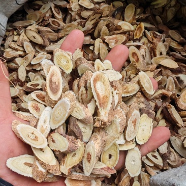 黄芪残片红心大片大量出