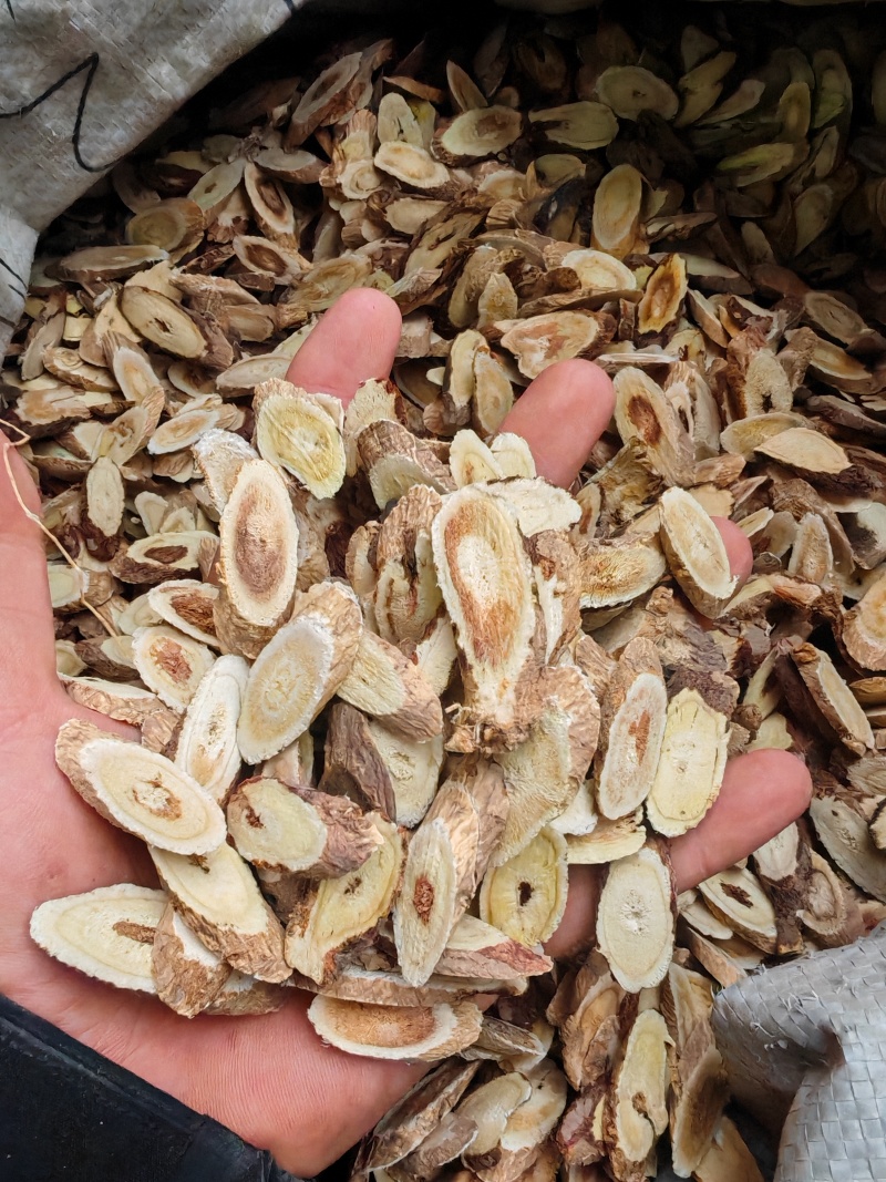 黄芪残片红心大片大量出